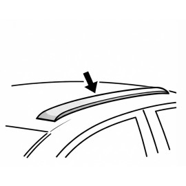 Integrierte Dachreling